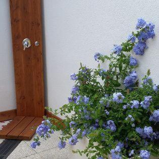 Marelibero Holiday home Marina di San Vito